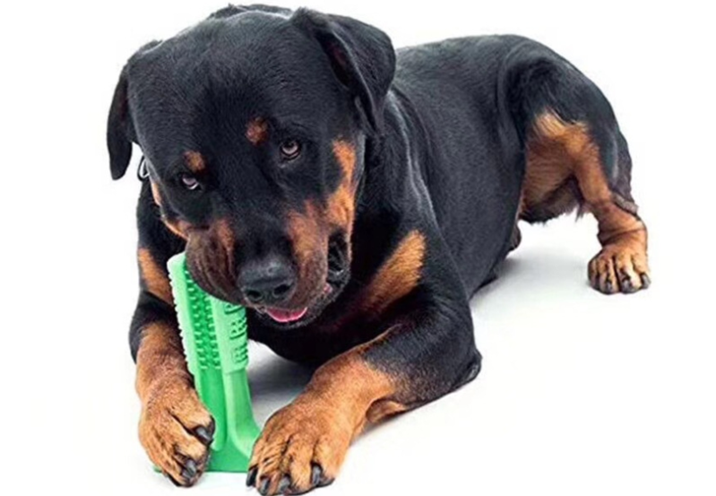 硅膠玩具定制 硅膠玩具定制